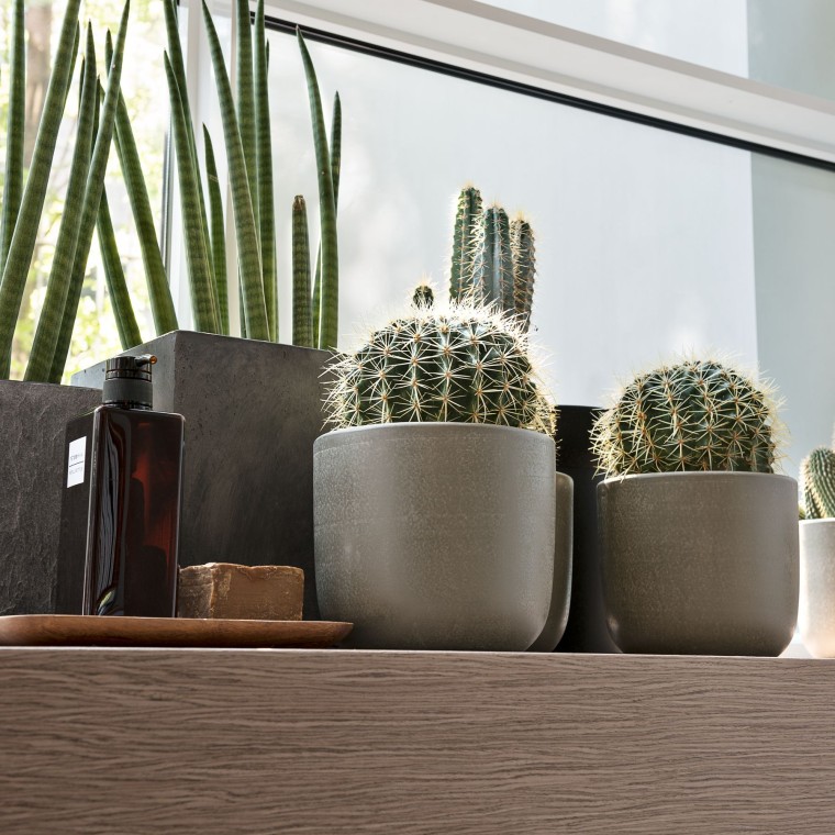 Різні рослини на підвіконні Різні рослини на підвіконні