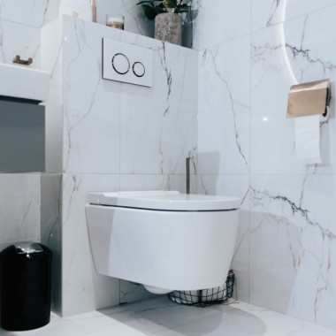 Унітаз-біде Geberit AquaClean в поєднанні з виконавчою пластиною Sigma21 Унітаз-біде Geberit AquaClean в поєднанні з виконавчою пластиною Sigma21