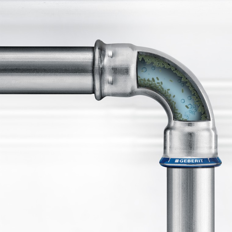 Природні мікроорганізми у питній воді