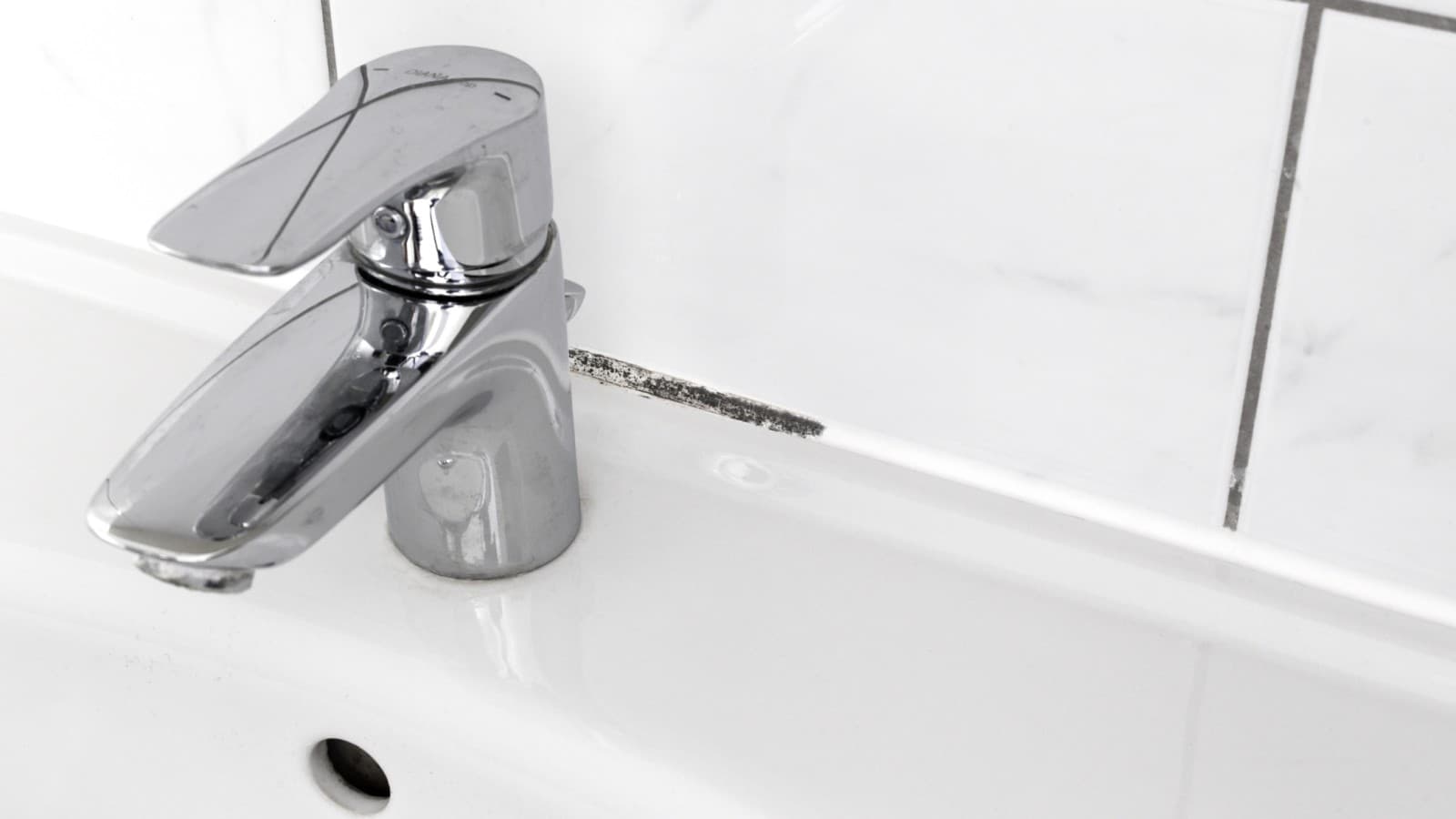 Цвіль у ванній кімнаті Цвіль у ванній кімнаті